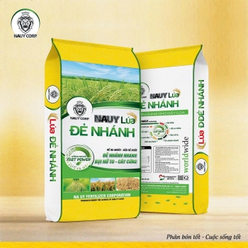 PHÂN BÓN NPK NA UY LÚA ĐẺ NHÁNH