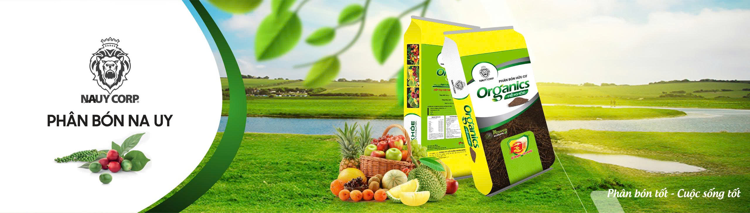 PHÂN HỮU CƠ RỄ KHOẺ